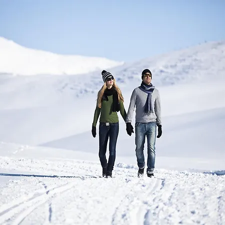 木屋 In Near Slopes 克里姆尔